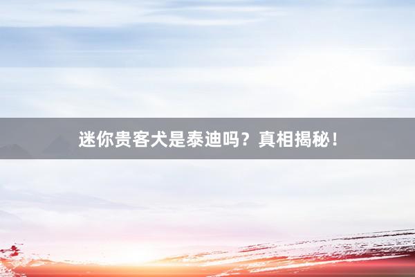 迷你贵客犬是泰迪吗？真相揭秘！