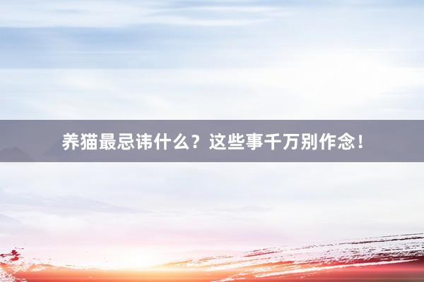 养猫最忌讳什么？这些事千万别作念！